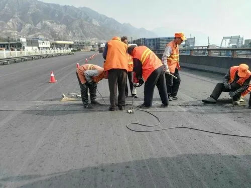 醴陵道路桥梁病害治理